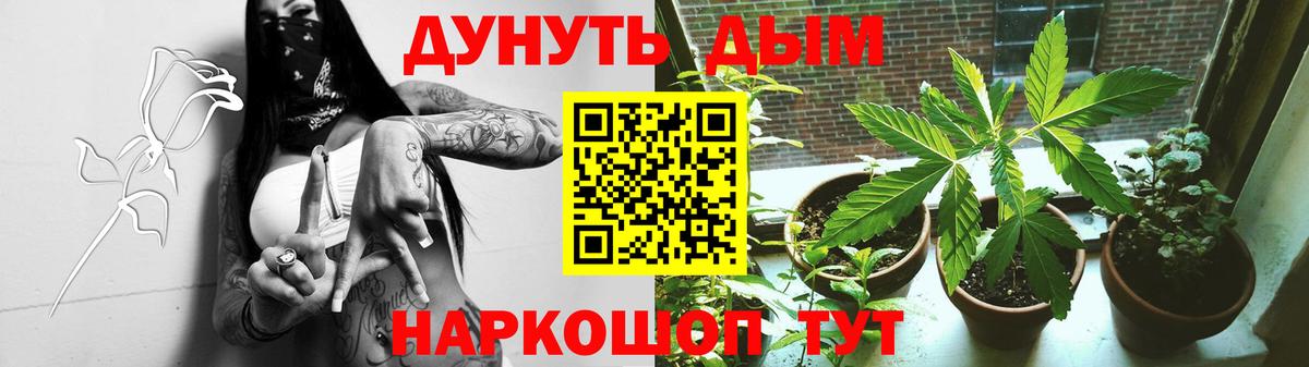 Бошки Шишки план Южно-Сахалинск